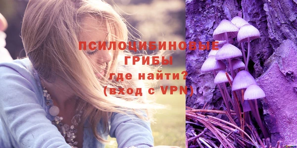 не бодяженный Аркадак