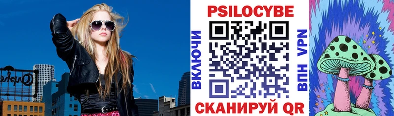 Галлюциногенные грибы Cubensis  сколько стоит  Разумное 
